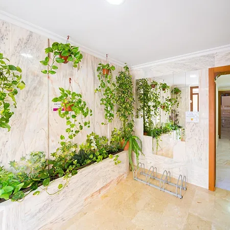 Front Line Jakarta 1 Sea View *